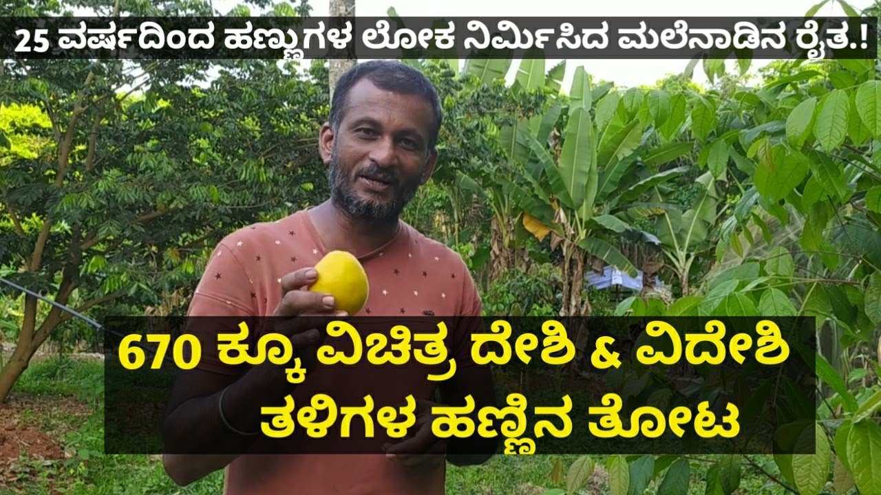 670 ಕ್ಕೂ ವಿಚಿತ್ರ ದೇಶಿ ಮತ್ತು ವಿದೇಶಿಯ ಹಣ್ಣಿನ ತಳಿಗಳನ್ನು ಬೆಳೆದು ಯಶಸ್ವಿಯಾದ ಮಳೆನಾಡಿನ ರೈತ.!