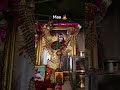 🙇🙇 mata #jaymatadi #jaymatadi #mata #meladi_maa