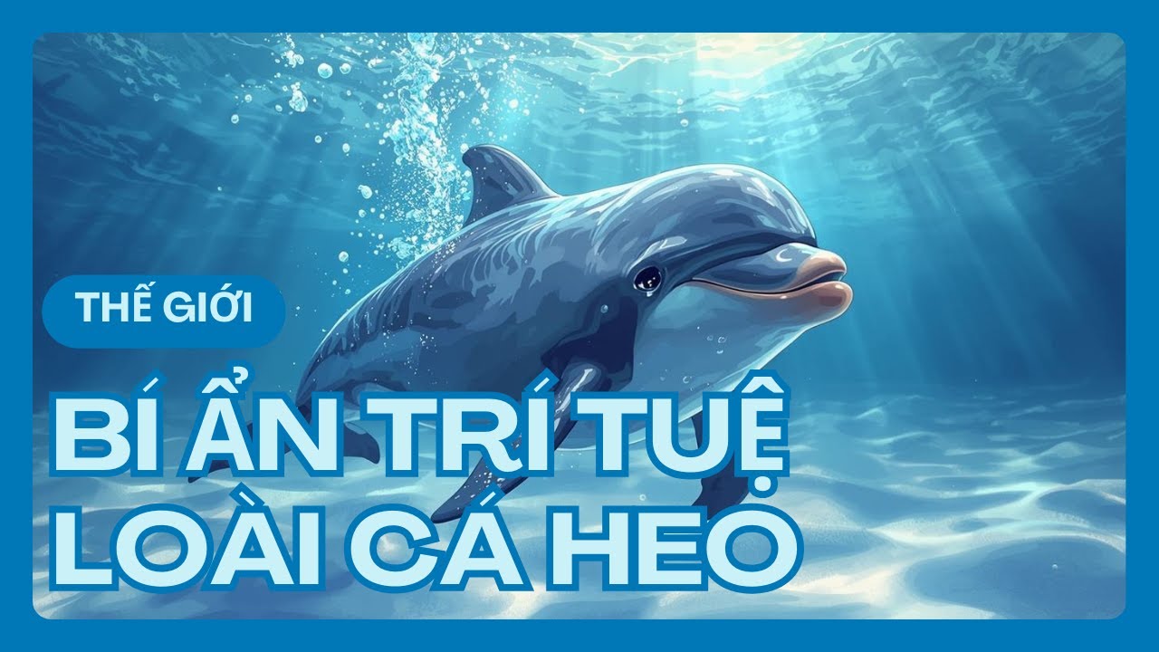 Cá Heo – Nụ Cười Thông Minh Của Đại Dương | Bí Ẩn Trí Tuệ Loài Cá Heo
