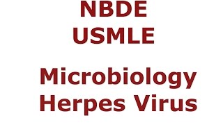 Herpes Virus NBDE & USMLE - HSV1 - HSV2 - VZV - EBV - CMV - HHV8