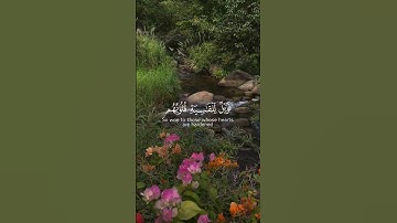 أفمن شرح الله صدره للإسلام - سورة #الزمر - القارئ الشيخ #محمد_حسين_عامر#Yemen #رمضان #صنعاء #اليمن