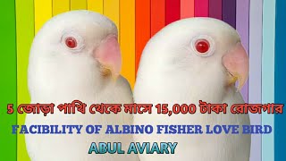 Facibility Of Albino Fisher Lovebird াসে 15000 টাকা রোজগার