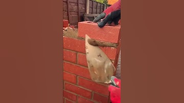 the process of installing red bricks with great precision #shorts