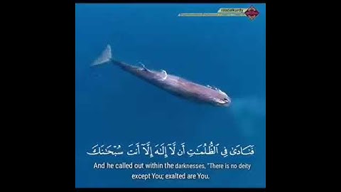تلاوة طيبة 💎