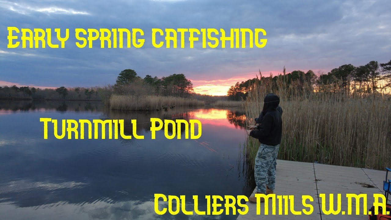 Early spring catfishing Turn Mill pond YouTube