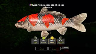 : Russian Fishing 4 - , ,         =D