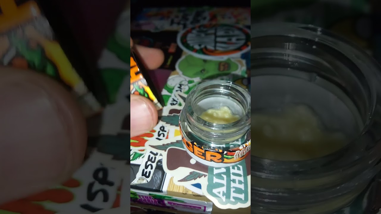Shophellomary hash burger cold cured hash rosin 