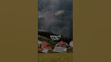 دقيقة من وقتك: للإستماع الى القرأن الكريم بتلاوة القارئ عبد الرحمن مسعد 🤍🌺📖||#عبدالرحمن_مسعد
