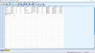 Celebrity Assignment SPSS Wealth