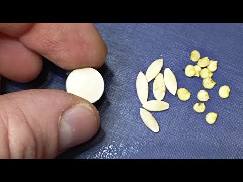 Старые семена пробиваются
