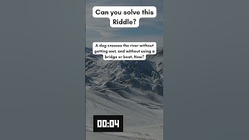 Crack the Code! 🧠 Can You Solve This Mind-Bending Riddle? Challenge Accepted! 🔍 #shorts