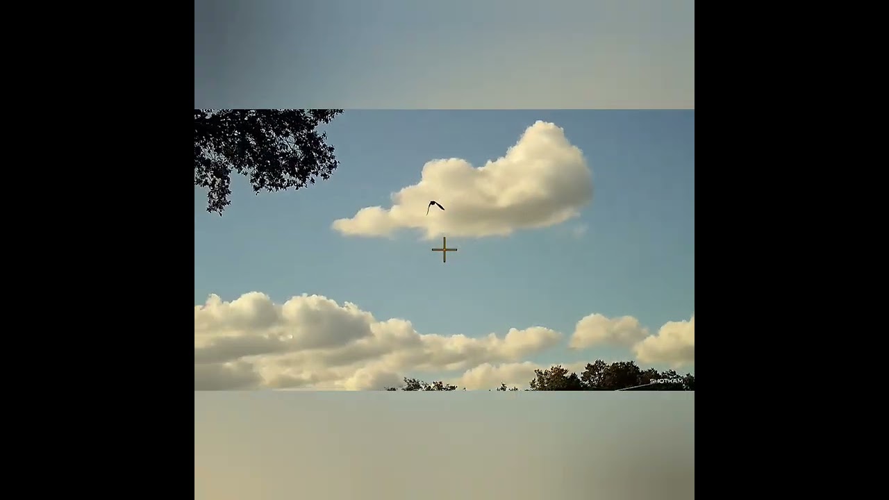 Florida DOVE Hunting with Shotkam