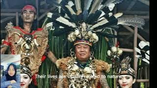 Suku Dayak yang Tersembunyi di Kalimantan: Suku Dayak dan Kekayaan Warisan Budayanya
