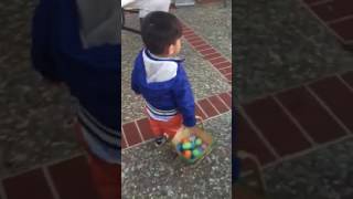 Liam's Easter hunt 2017