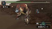 Mhp2g Mhfu マガティガ 2 30 雷鎚 スイ凶 Youtube