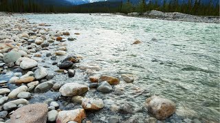 The river water flows fast from the forest.Water Sounds,White Nature Noise,River Sounds for Sle