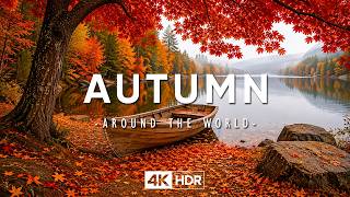🍁 Healing Piano Soundscape for Peaceful Relaxation | 4K Autumn Leaves & Soothing Ambience 🍂 screenshot 4
