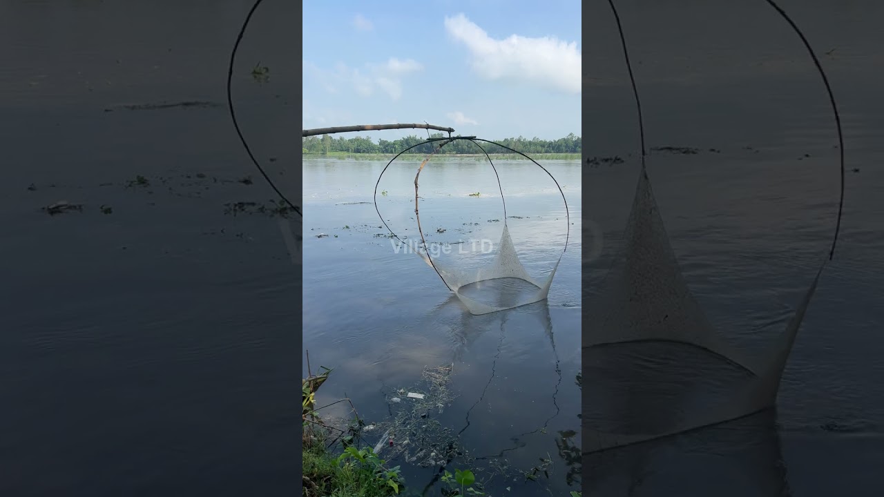 🎣 Fishing for LIFE in a Desi Village | A Day of Traditional Fishing in Rural Life 🌾 Village Ltd