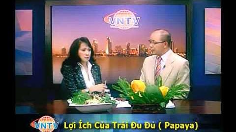 Lợi Ích Của Trái Đu Đủ ( Papaya) VNTV