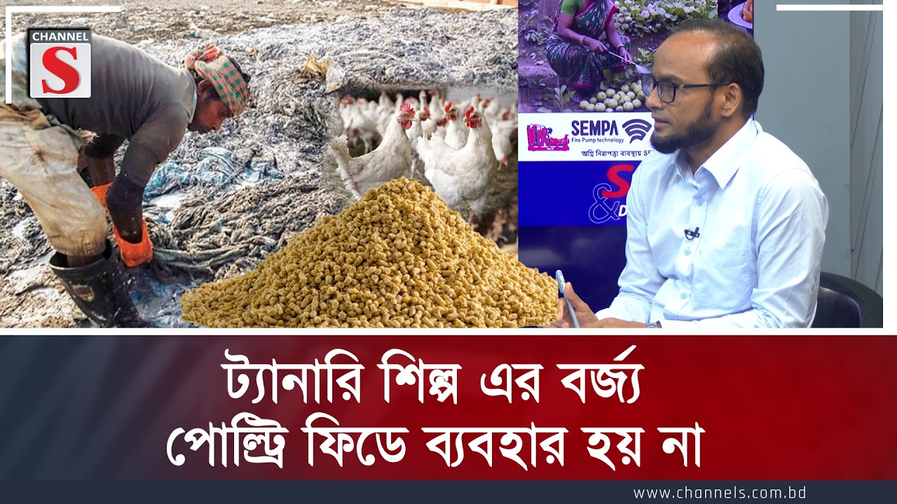 ট্যানারি শিল্প এর বর্জ্য পোল্ট্রি ফিডে ব্যবহার হয় না: ড: সফিকুল ইসলাম | Channel S