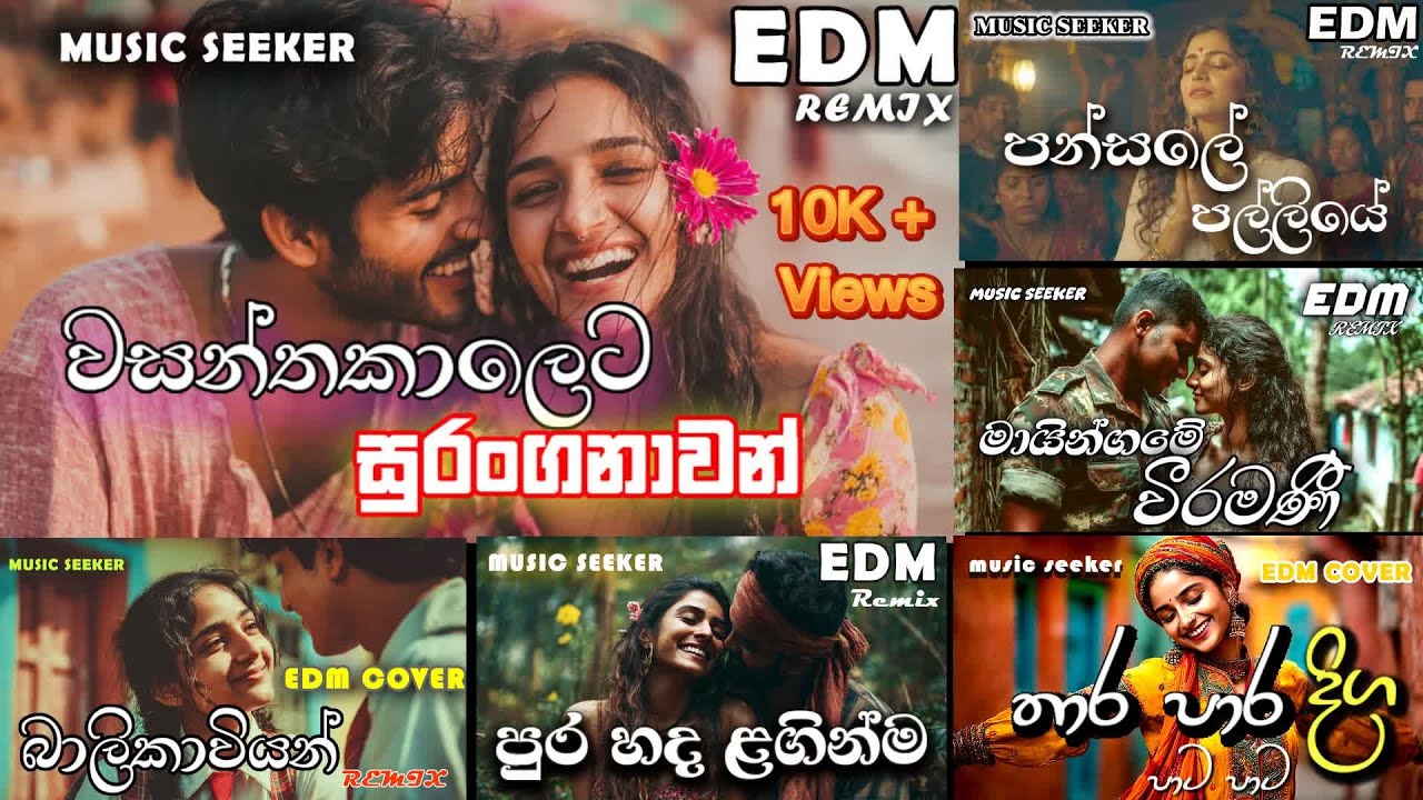 මේ ටිකේ නිතර ඇහෙන EDM එකදිගට අහන්න | Hit EDM Songs Collection by MUSIC SEEKER