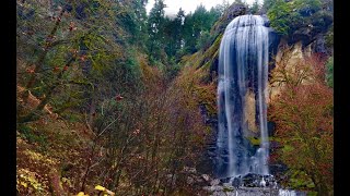Golden & Silver Falls Hike on Historic Road, Coos Bay, Oregon