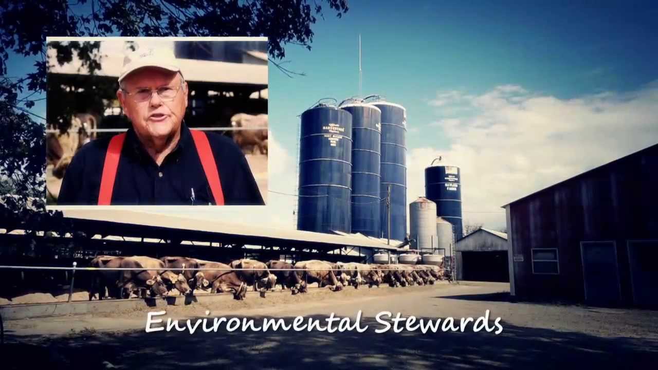 Meet the Dairy Farm Families of Tennessee YouTube