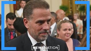 Hunter Biden to plead guilty in tax, gun case | Morning in America
