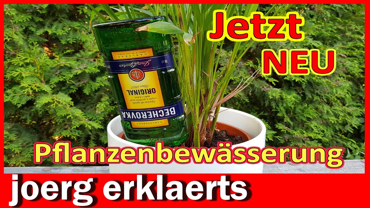 URLAUB Blumen Pflanzen Bewässerung im Urlaub oder bewässern für faule