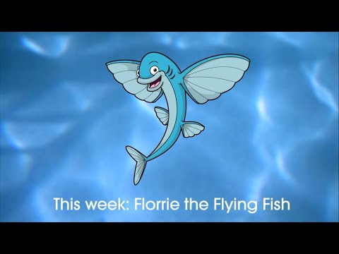 The Aquatots Animals | Florrie the Flying Fish