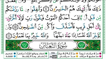 Surah Al Taghabon Hamza Al Jazairi سورة التغابن كاملة مكتوبة حمزة الجزائري تلاوة تريح سمعك وقلبك