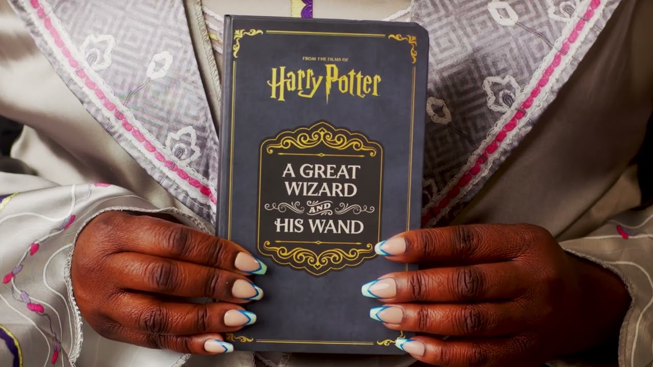 Harry Potter: Albus Dumbledore Light and Sound Wand Set by Donald