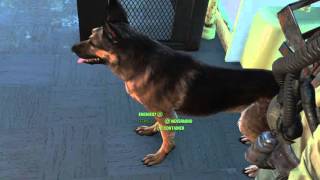 Dogmeat is rubbish