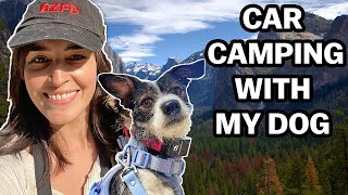 My First Time At Yosemite National Park (I was unprepared) | Merle Vlogs