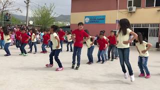 Veysel Karani İlkokulu 23 Nisan 2017- Penguen Dansı