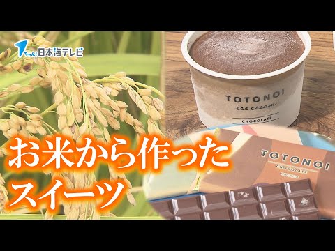 【アイス】お米の良さを広めたい！麹を使ったスイーツ【チョコレート】