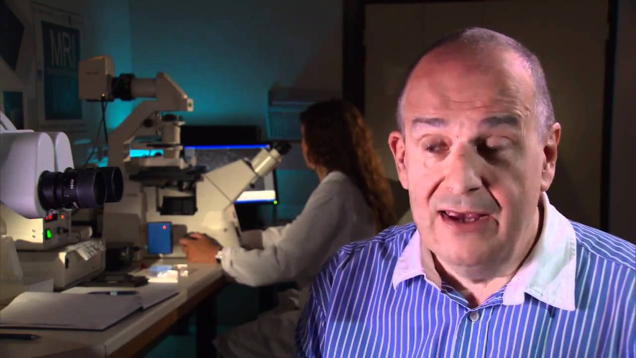 AntiMal - Novel antimalarial drug development - YouTube