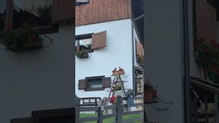 Альпийские деревни Муниципалитета Оввро Провинция Удине Италия