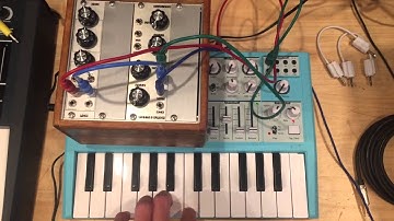 モジュラーシンセ Simple System & Micro Brute【Wurly