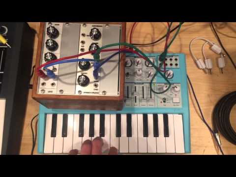モジュラーシンセ Simple System & Micro Brute【Wurly's