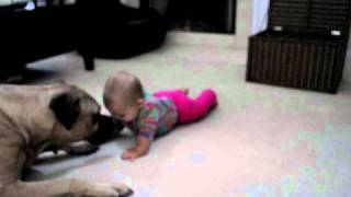 Lilly crawls