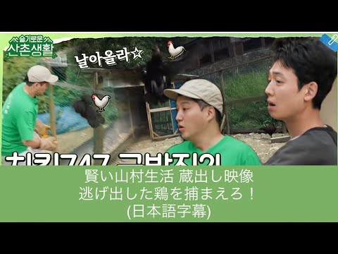 【日本語字幕】賢い山村生活蔵出し映像 逃げ出した鶏を捕まえろ！