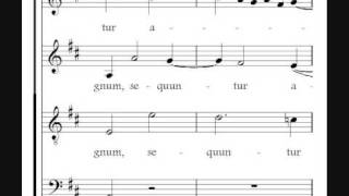 O Quam Gloriosum est Regnum - Victoria chords