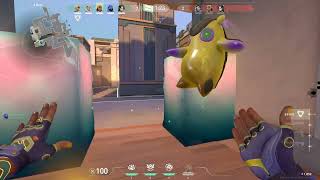 Gekko Learns How To Twerk??????????? Ft. , , , And