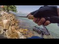 Micro Jigging di Padang Kota Penang -- STRIKE Ikan Alu Alu ( Ultralight Fishing )
