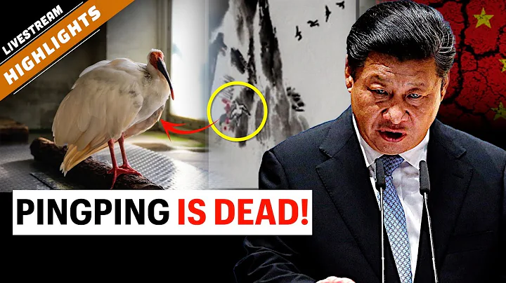 The bird everyone linked to Xi Jinping