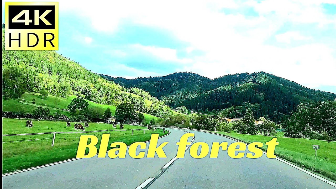 Black forest germany,driving from Elzach to Schenkenzell