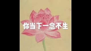 201805 你当下一念不生20907