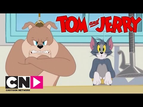 Tom & Jerry Show I Spike ve Tom I Cartoon Network Türkiye
