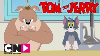 Tom & Jerry Show I Spike Ve Tom I Cartoon Network Türkiye